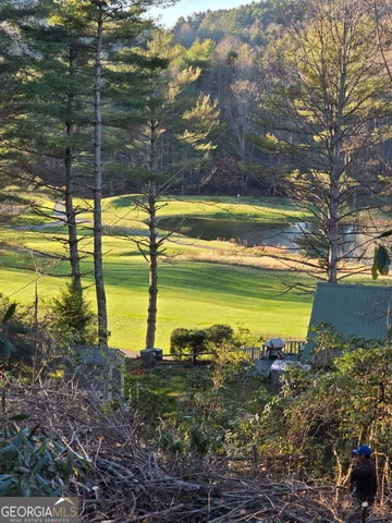 a aerial view of a house with a yard and potted plants