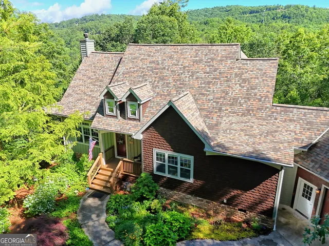a aerial view of a house with a yard and potted plants