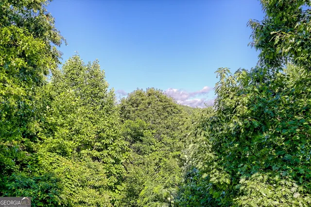 $979,000 | 249 Dalton Drive, Dillard, GA 30537