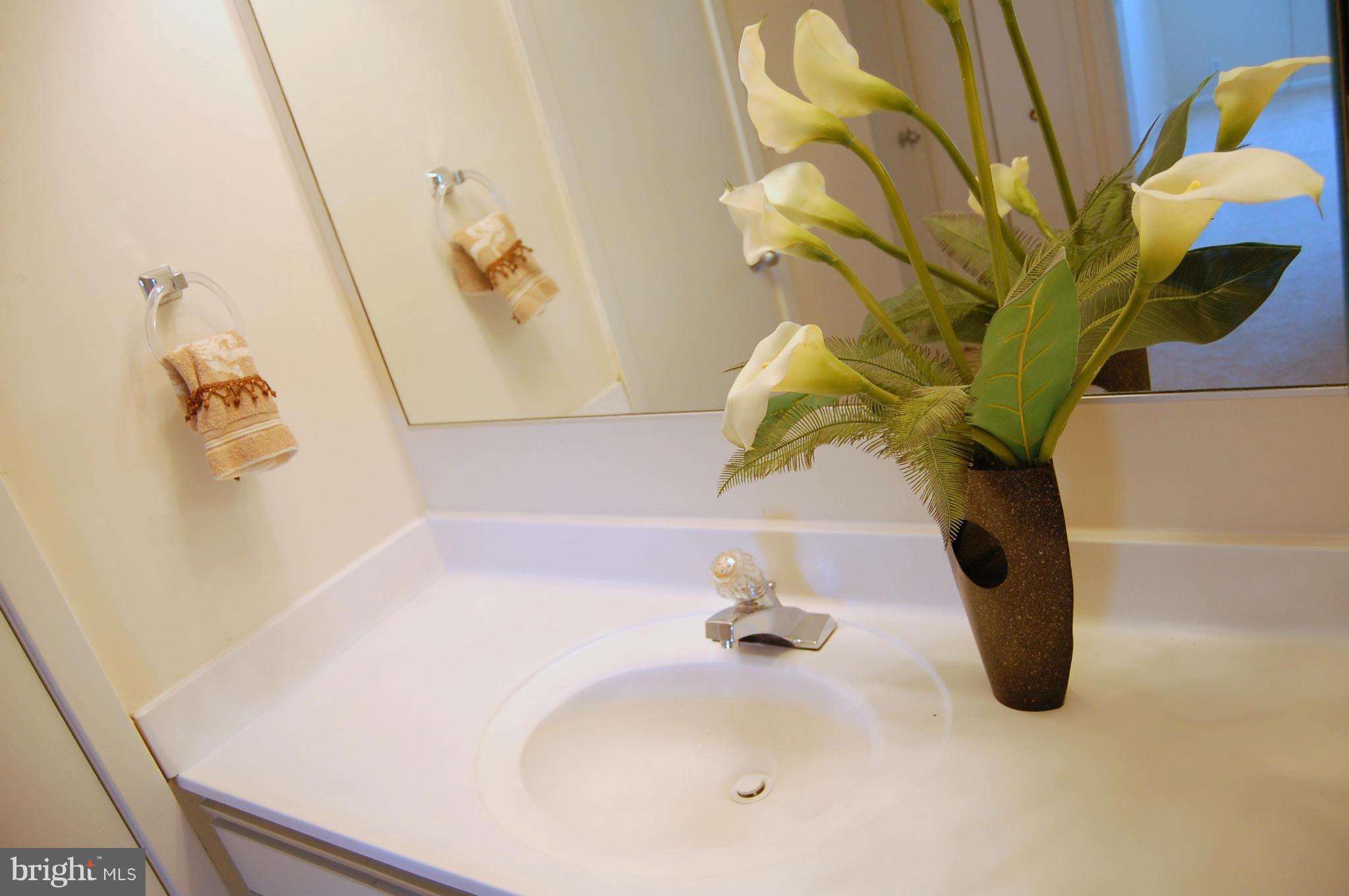 5505 Seminary Road, Unit 1407N Falls Church, VA 22041 - Photo 13 of 30 a bathroom with a sink a mirror