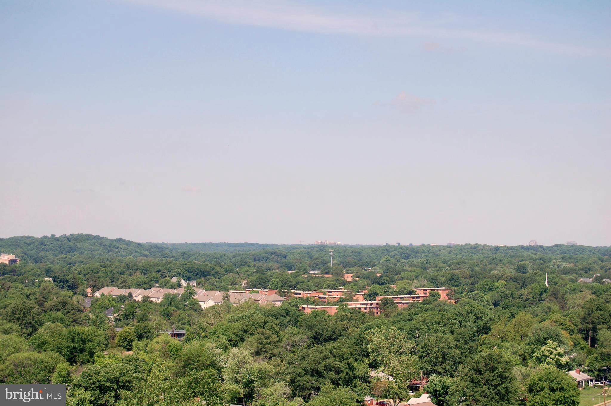 5505 Seminary Road, Unit 1407N Falls Church, VA 22041 - Photo 16 of 30 a view of a city