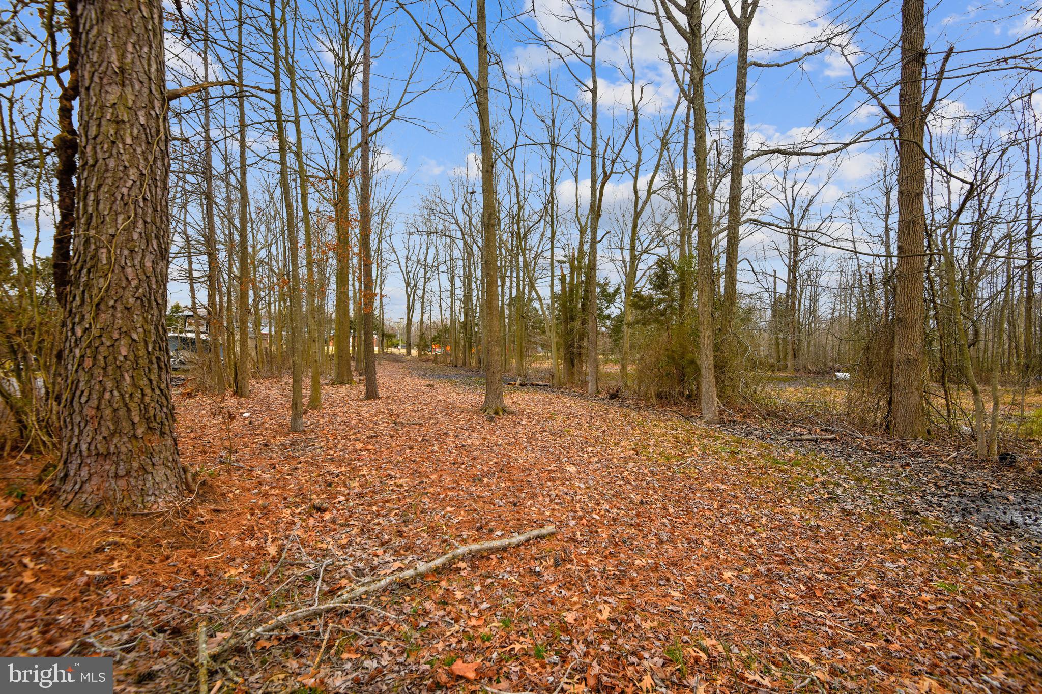 719 Masons Beach Road Deale, MD 20751 - Photo 28 of 30 Gallery Image 28
