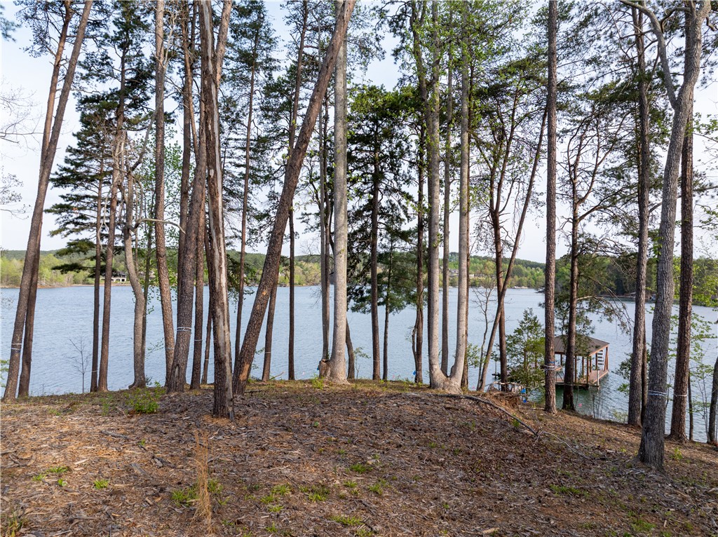 390 Peninsula Ridge Sunset, SC 29685 - Photo 20 of 35