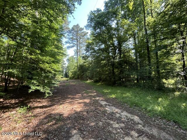 Parker Road Crosby, MS 39633 - Photo 5 of 16 IMG_4211
