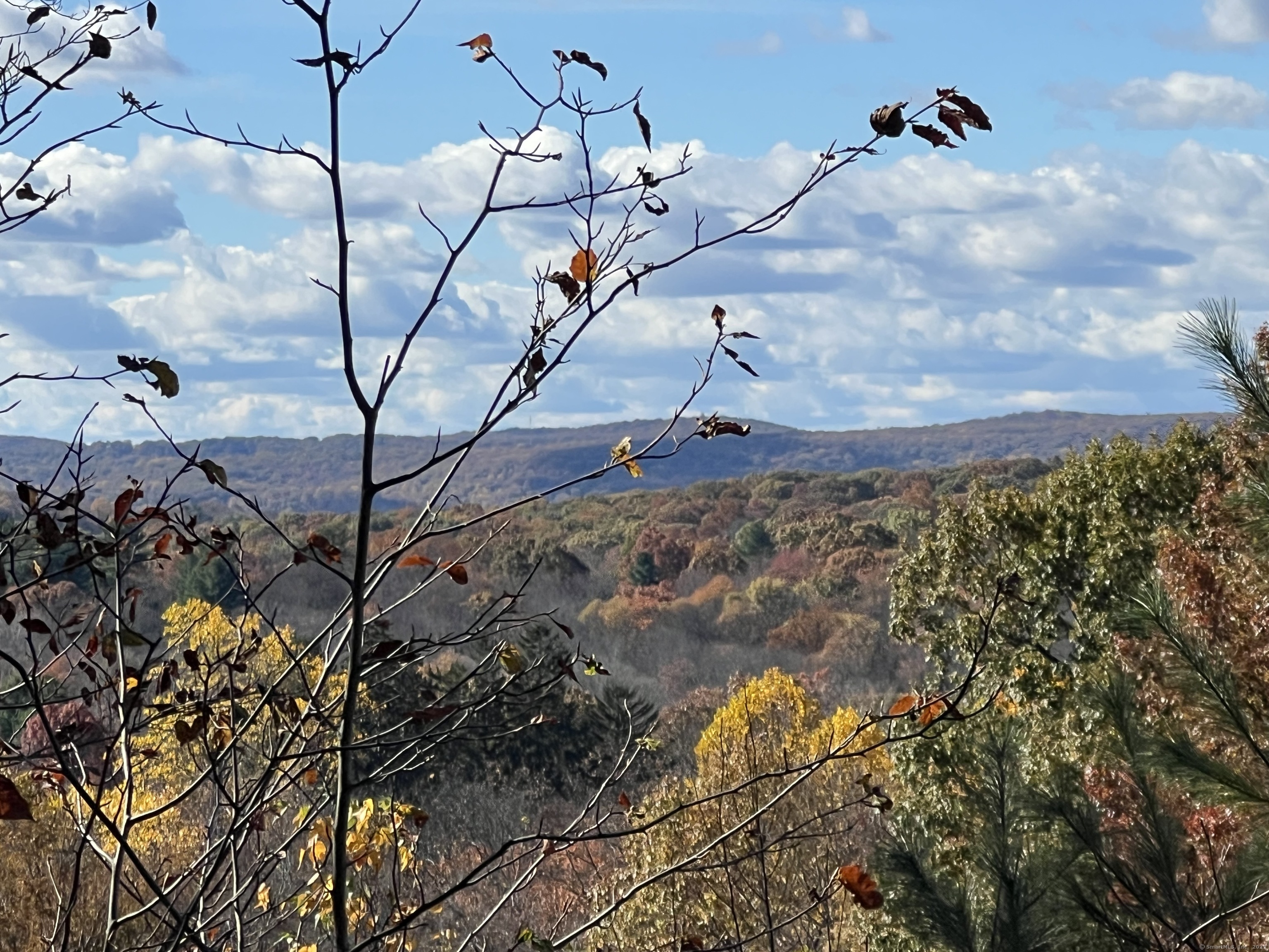3 Boulder Creek Road Newtown, CT 06470 - Photo 1 of 1 a view of a forest