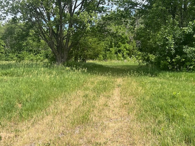 0 Scott Park Road Eldridge, IA 52748 - Photo 8 of 10