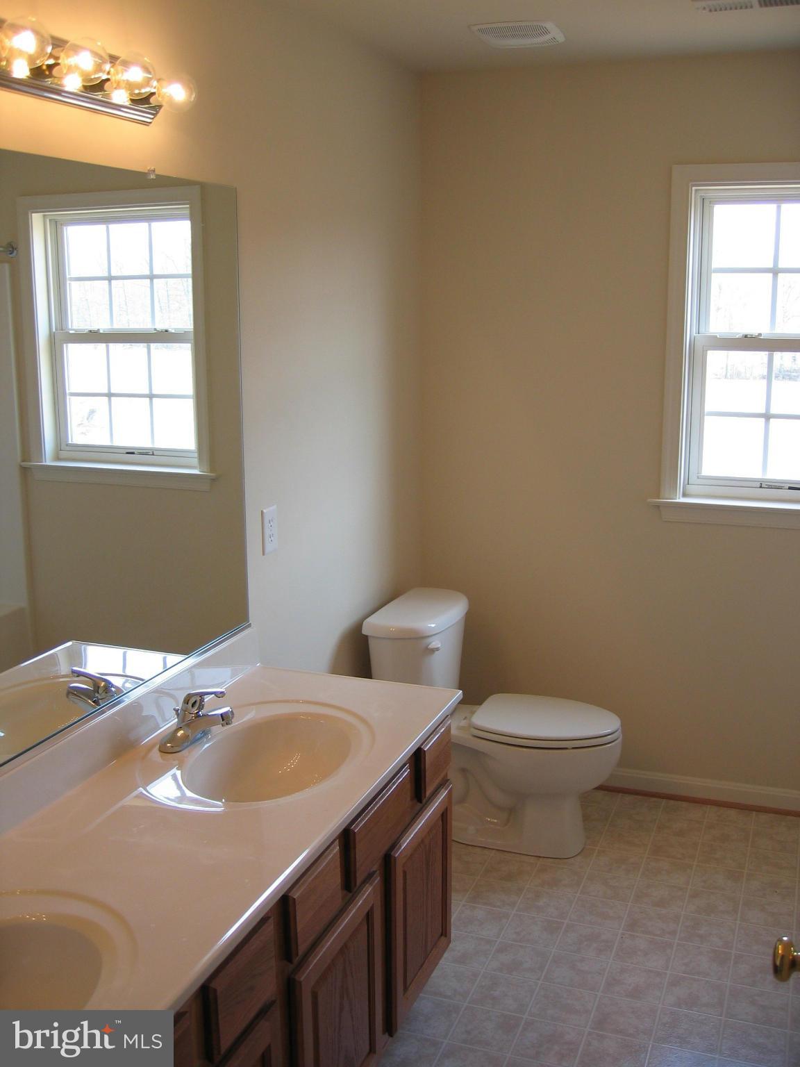 652 West Rocky Run Road Fredericksburg, VA 22406 - Photo 19 of 20 a bathroom with a sink and a toilet