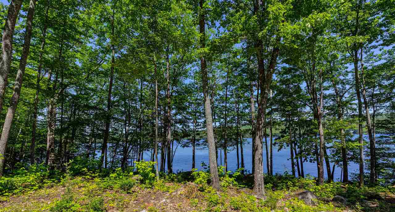 Lot #12 Island Road Canaan, NH 03741 - Photo 12 of 12 Gallery Image 12