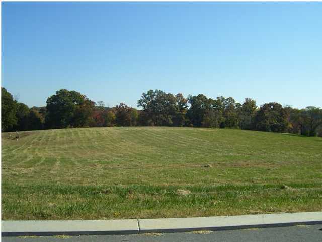 0 Lexington Stop Drive Rock Spring, GA 30739 - Photo 2 of 2 Additional Photo