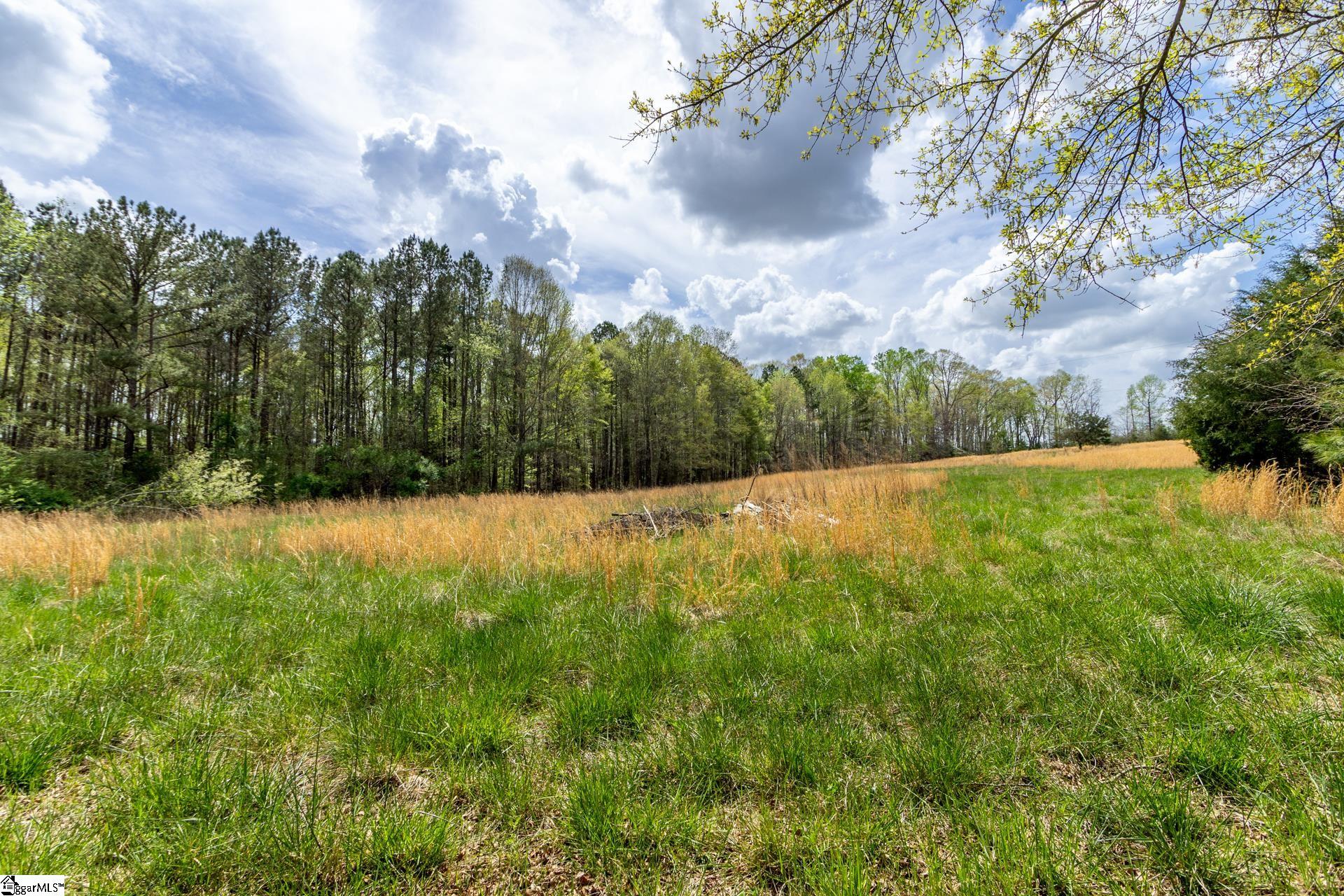 365 Old Bethel Road Moore, SC 29369 - Photo 17 of 50