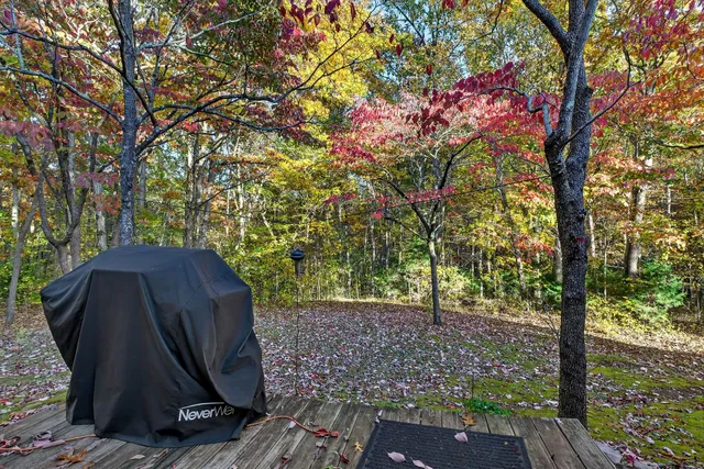 a view of a back yard