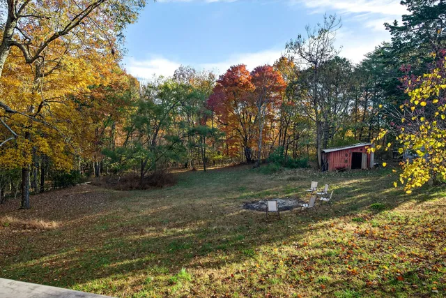 a backyard of a house with lots of green space