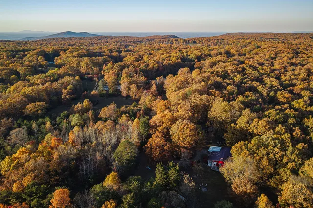 a view of backyard with green space