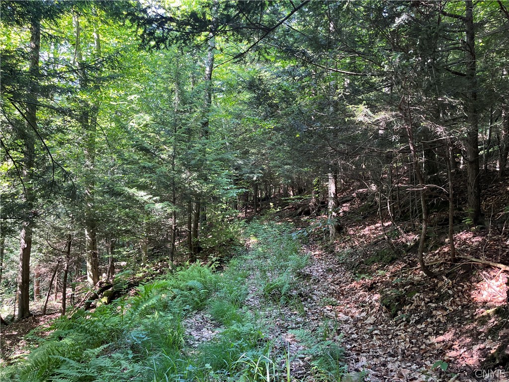 Center Road Lacona, NY 13083 - Photo 36 of 38
