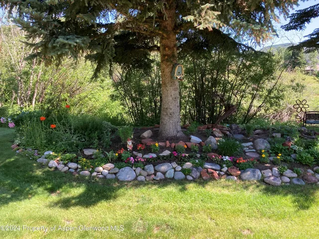 a view of a garden with flowers and trees