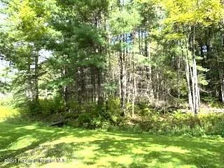a big yard with lots of green space and trees
