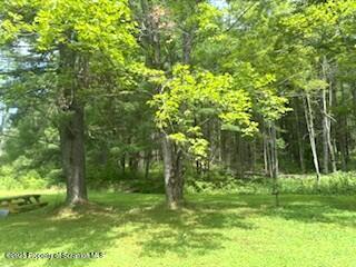 1087 Canada Road Friendsville, PA 18818 - Photo 14 of 72 a big yard with lots of green space and trees
