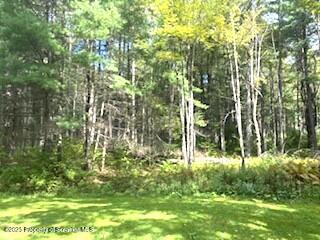 1087 Canada Road Friendsville, PA 18818 - Photo 15 of 72 IMG_3393