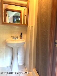 1087 Canada Road Friendsville, PA 18818 - Photo 45 of 72 a bathroom with a sink and a mirror