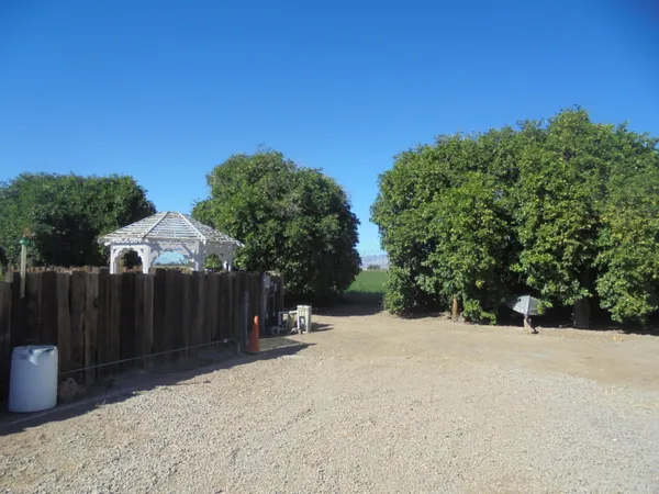 a view of a backyard with potted plants and wooden fence