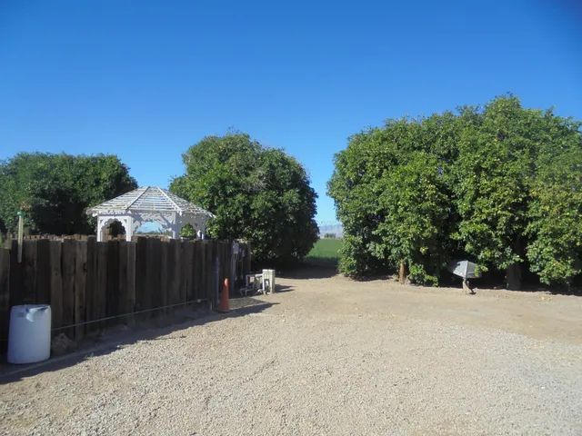 a view of a backyard with potted plants and wooden fence