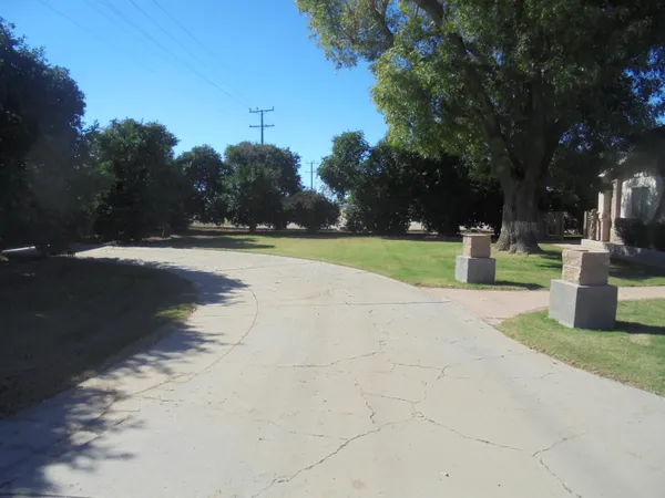 a view of a park with large trees