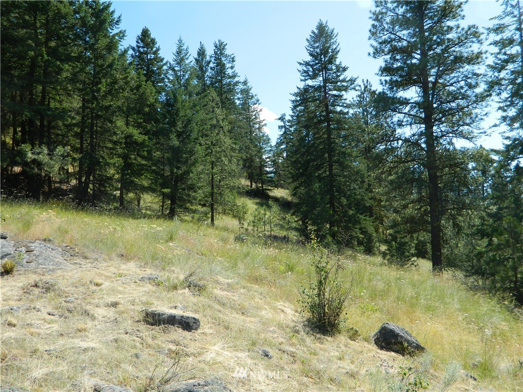 260 Reevas Basin Road Tonasket, WA 98855 - Photo 14 of 17 Gallery Image 14