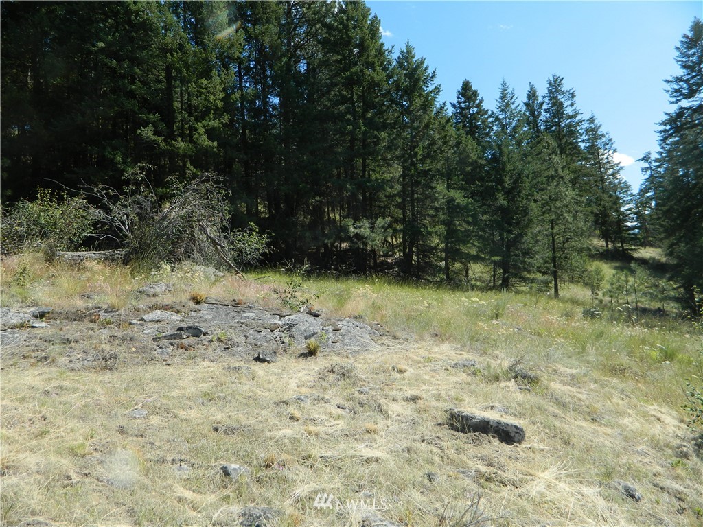 260 Reevas Basin Road Tonasket, WA 98855 - Photo 15 of 17 Gallery Image 15