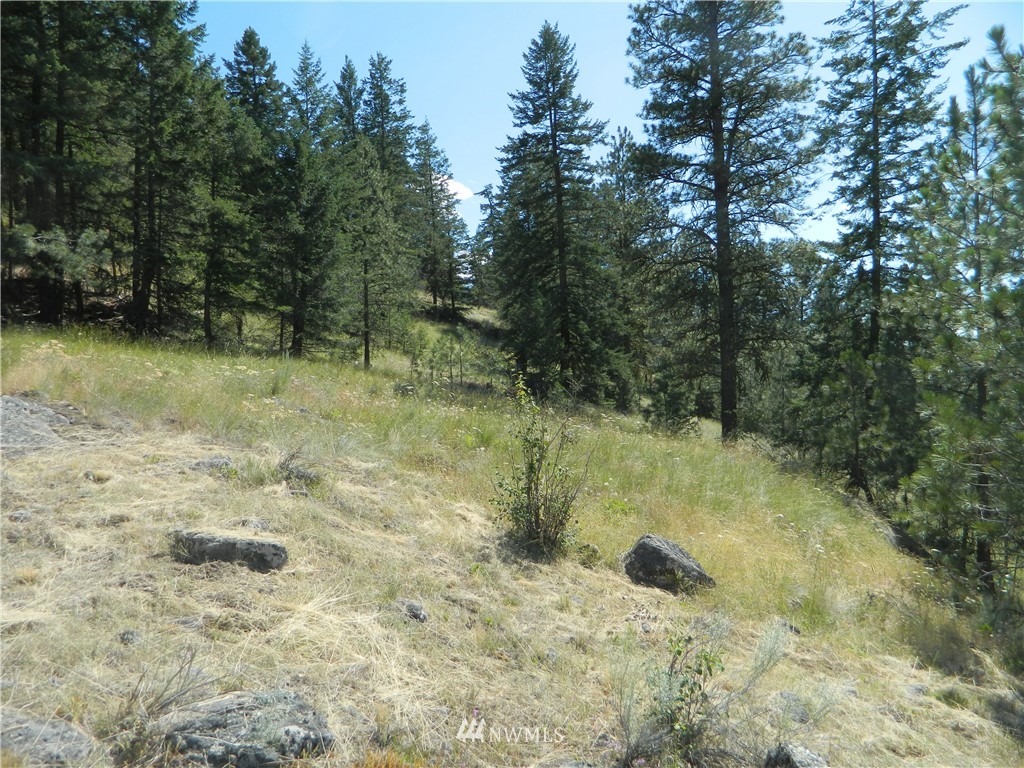 260 Reevas Basin Road Tonasket, WA 98855 - Photo 16 of 17 Gallery Image 16