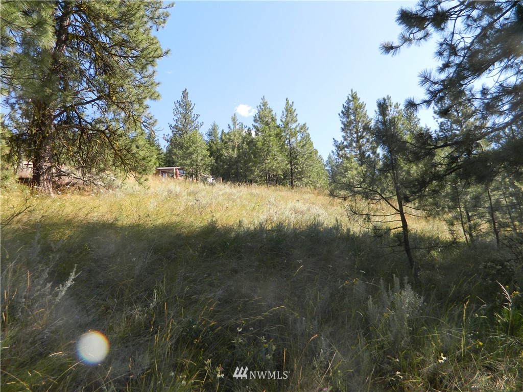 260 Reevas Basin Road Tonasket, WA 98855 - Photo 17 of 17 Gallery Image 17