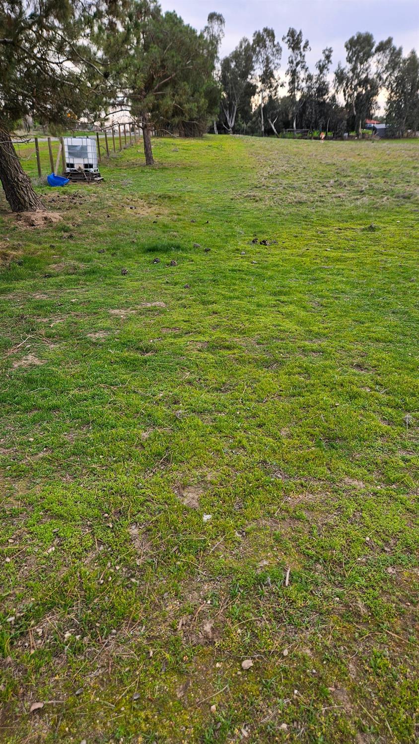 0 El Camino Road Madera, CA 93636 - Photo 6 of 6 a view of a field with an trees