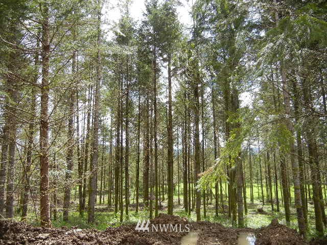 9 Hansen Road Woodland, WA 98674 - Photo 3 of 9 Gallery Image 3