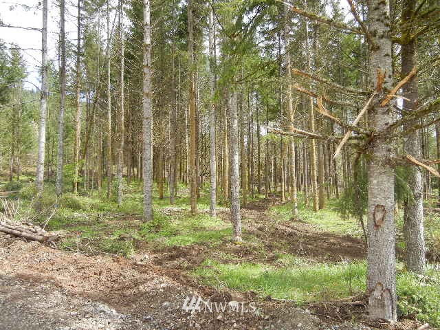 9 Hansen Road Woodland, WA 98674 - Photo 8 of 9 Gallery Image 8