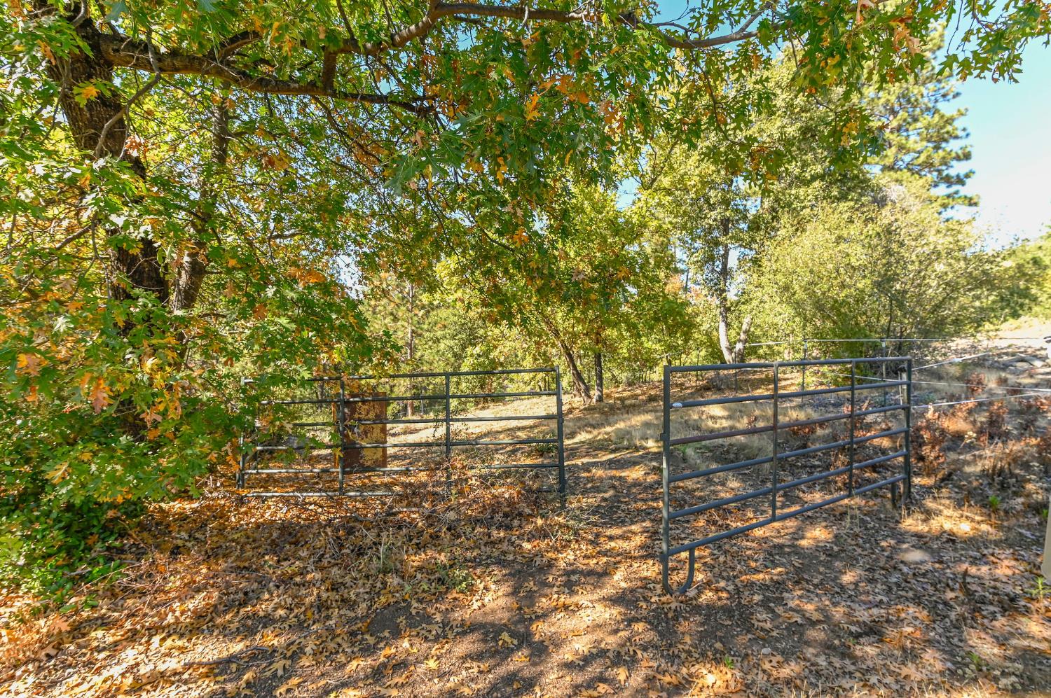 3770 Sheep Ranch Road Murphys, CA 95247 - Photo 71 of 92