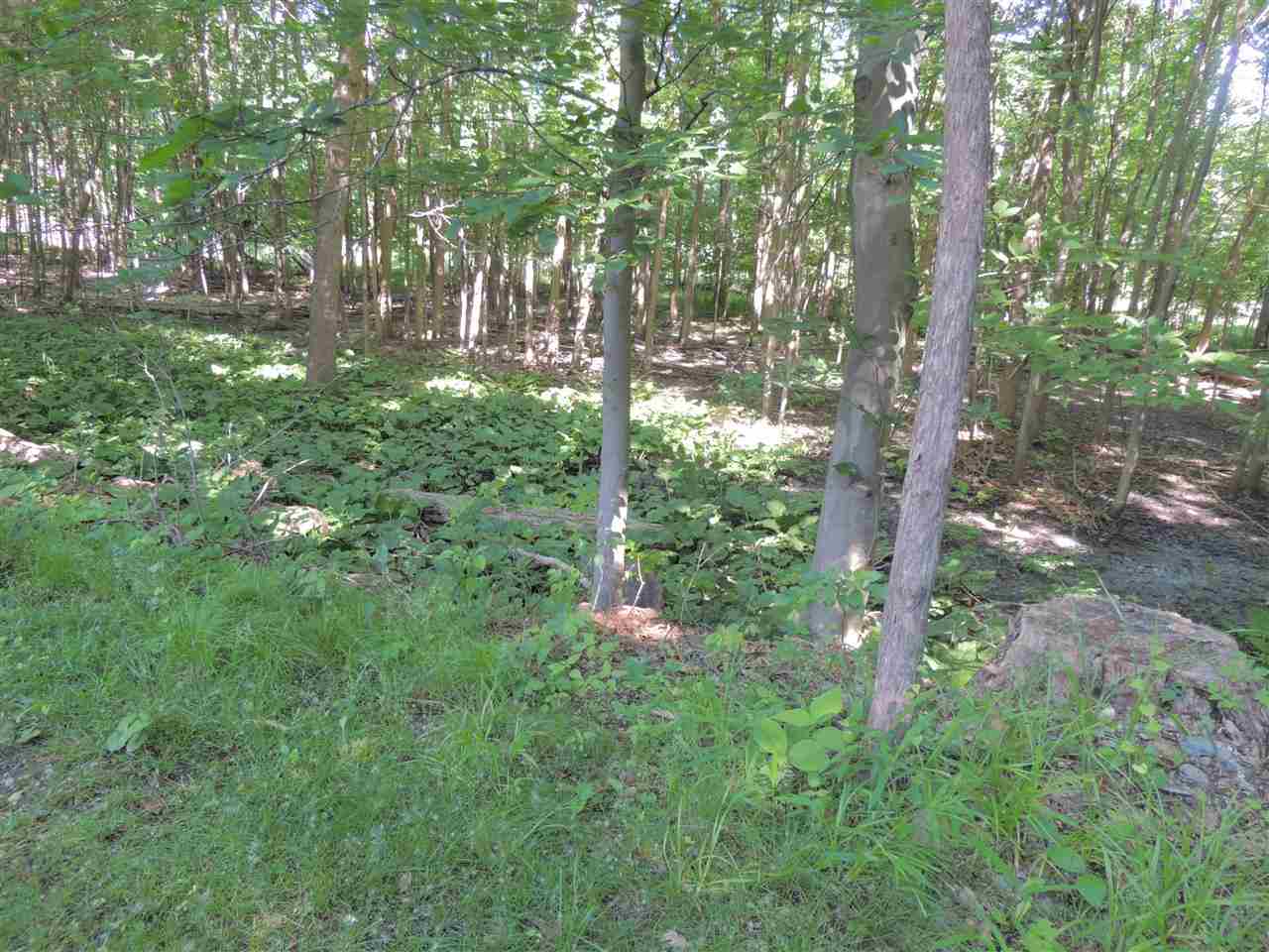 1651 Lodge Pole Lane Rochester, MI 48307 - Photo 21 of 23 31198047-21.JPG