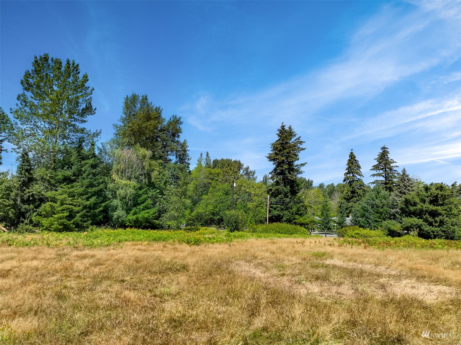 1973 Grandview Road Ferndale, WA 98248 - Photo 3 of 32 a view of a yard with a tree