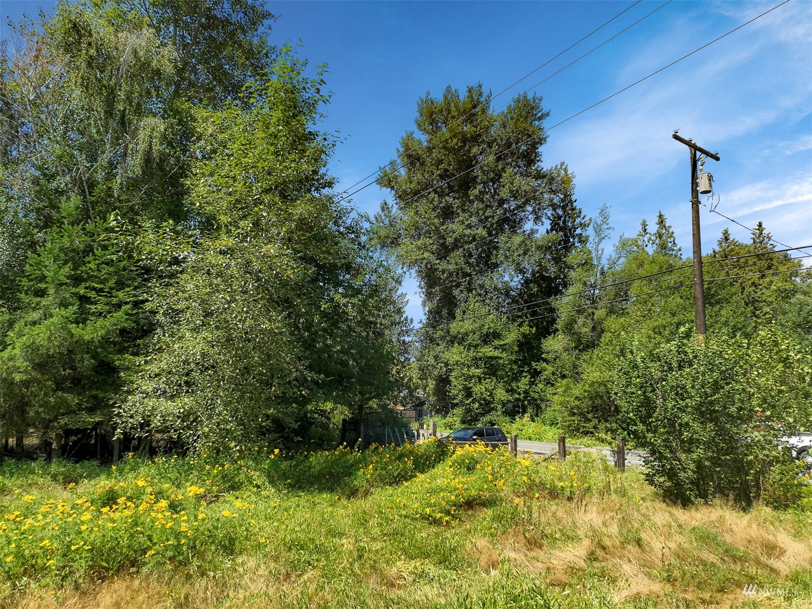 1973 Grandview Road Ferndale, WA 98248 - Photo 5 of 32 a backyard of a house with lots of green space