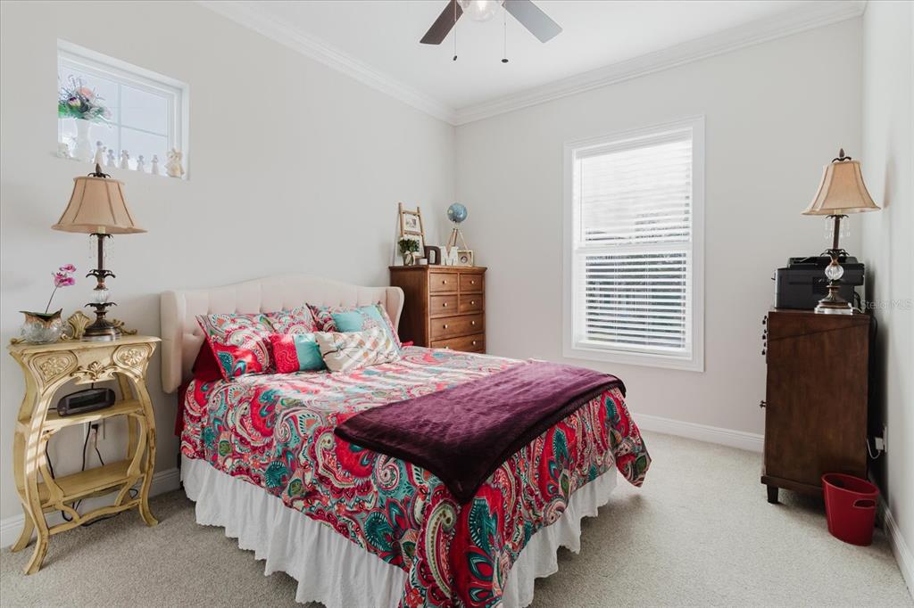 216 High Street Tarpon Springs, FL 34689 - Photo 38 of 75 a bedroom with bed and a window