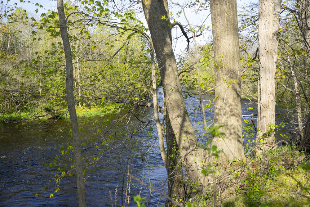 141 Perry Mills Road Champlain, NY 12919 - Photo 5 of 10 DSC02469