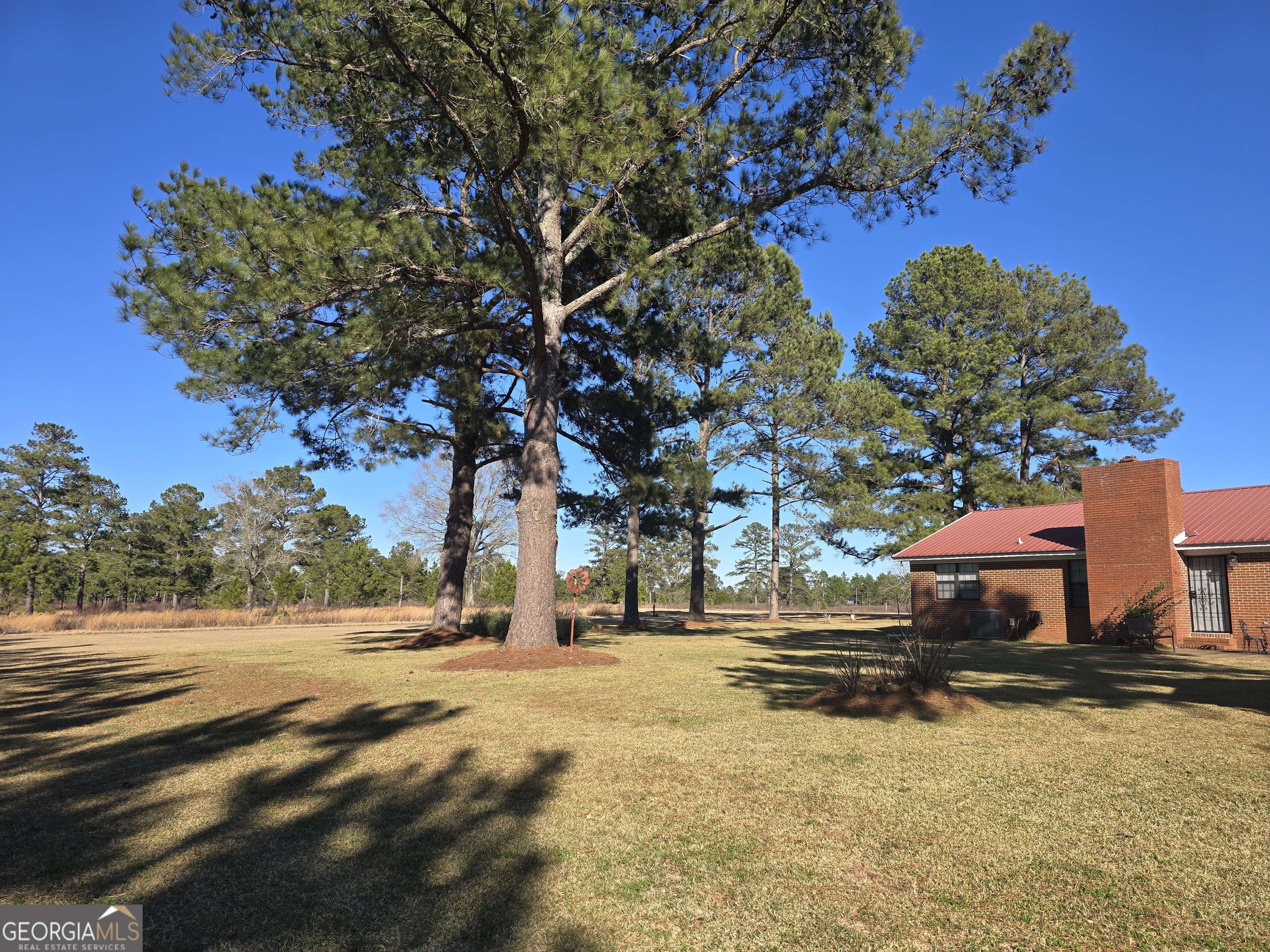 479 Mitchell Loop Bluffton, GA 39824 - Photo 7 of 51 a backyard of a house with lots of green space