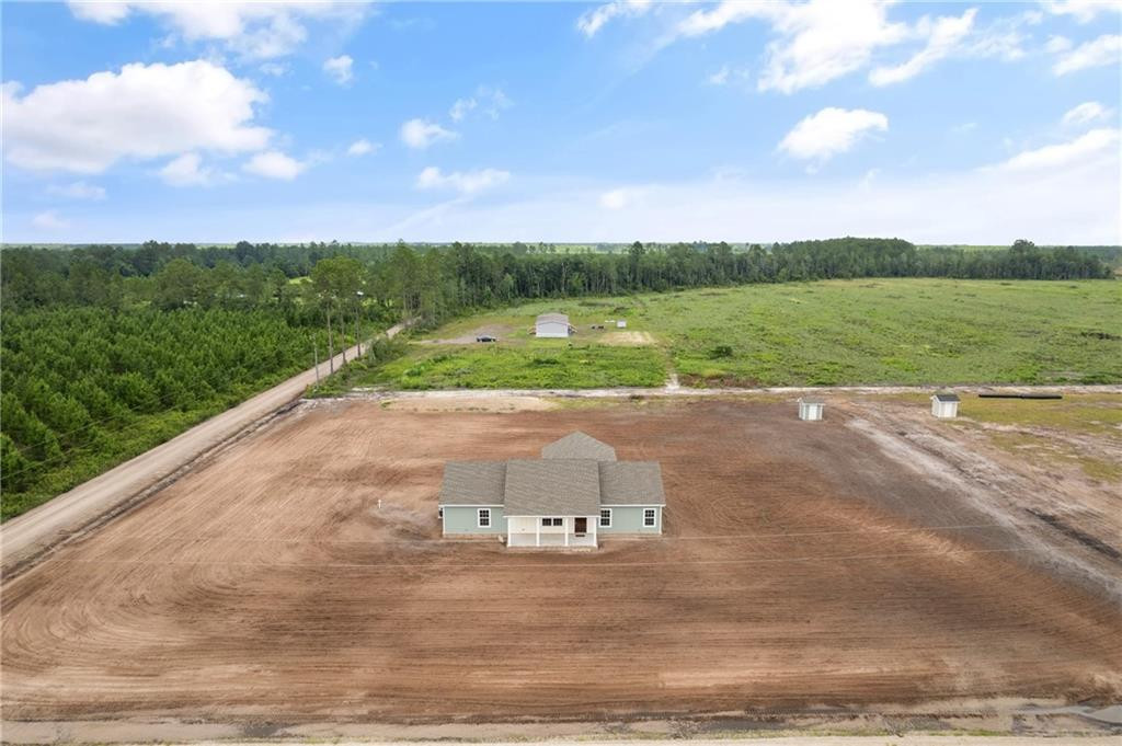 4452 Pembers Road Nahunta, GA 31553 - Photo 9 of 29