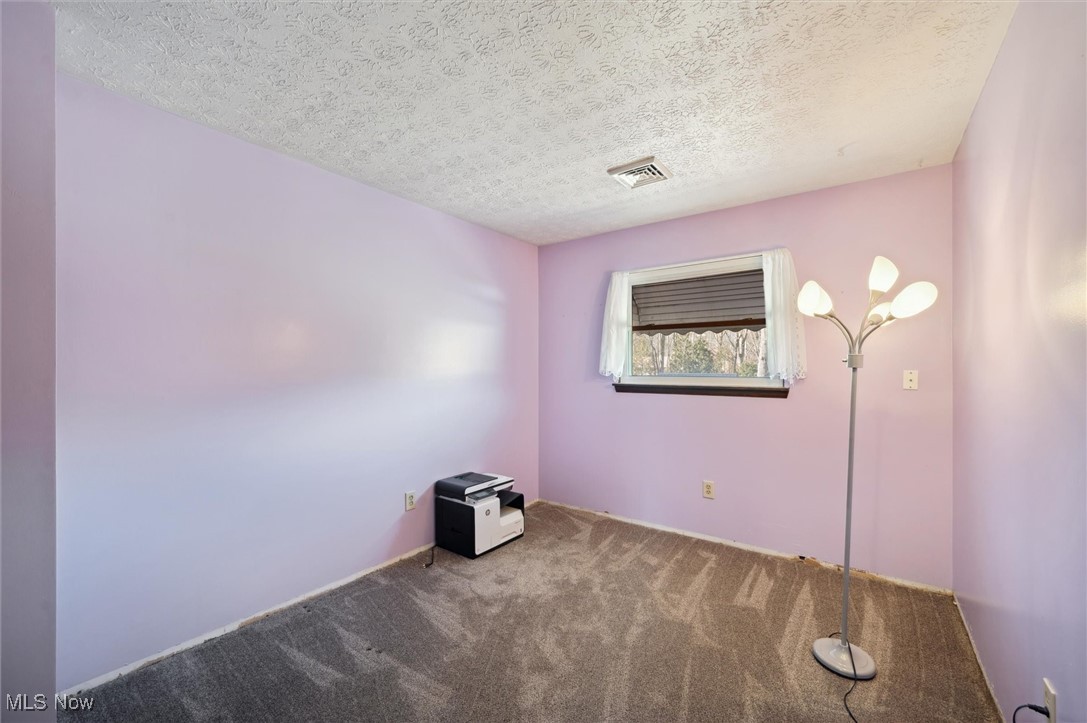 5476 Lear Nagle Road North Ridgeville, OH 44039 - Photo 19 of 38 Empty room featuring visible vents, a textured ceiling, and carpet