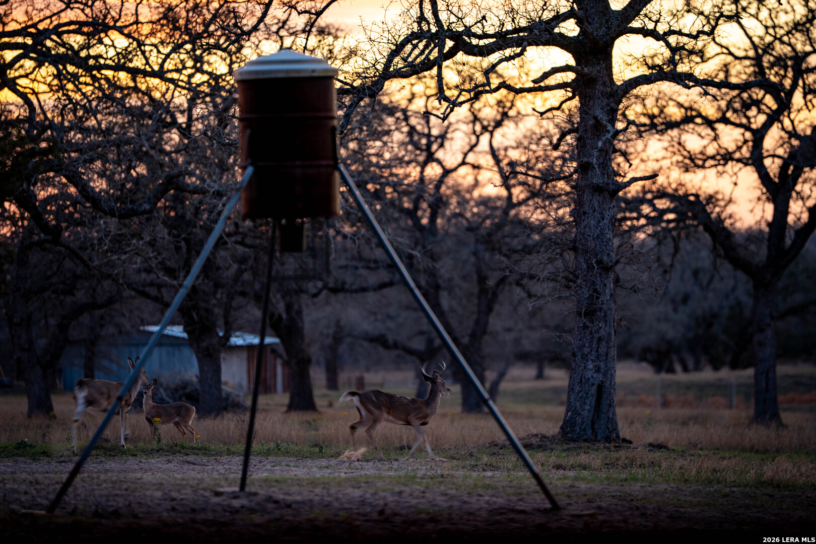 104 Longhorn Road Stockdale, TX 78160 - Photo 28 of 30