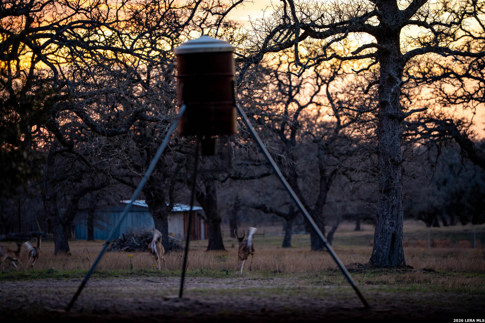104 Longhorn Road Stockdale, TX 78160 - Photo 29 of 30