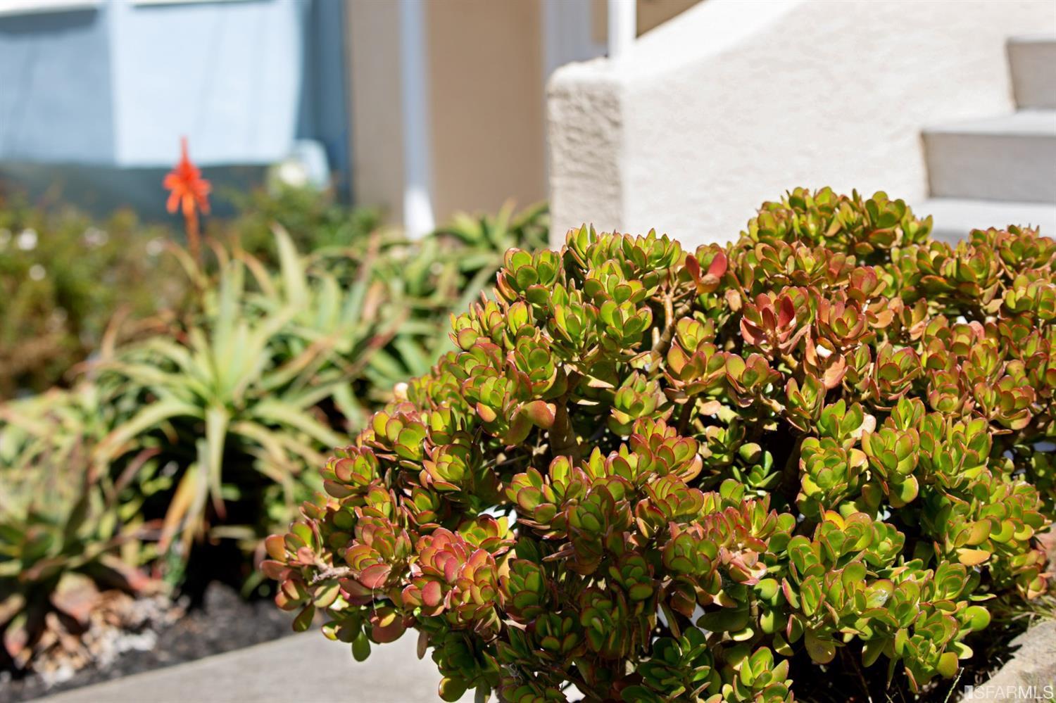 8 Lee Avenue San Francisco, CA 94112 - Photo 3 of 11