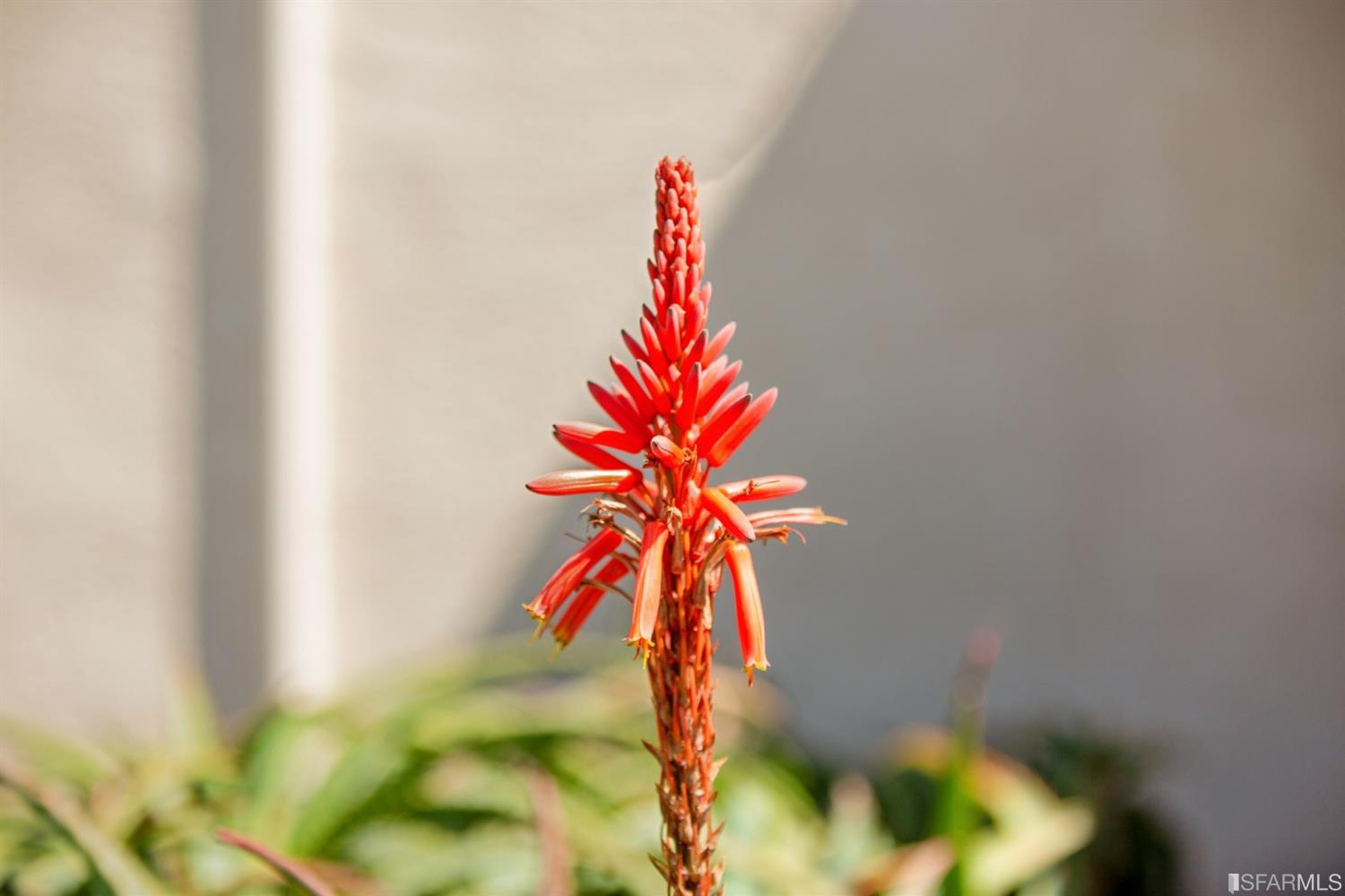 8 Lee Avenue San Francisco, CA 94112 - Photo 4 of 11