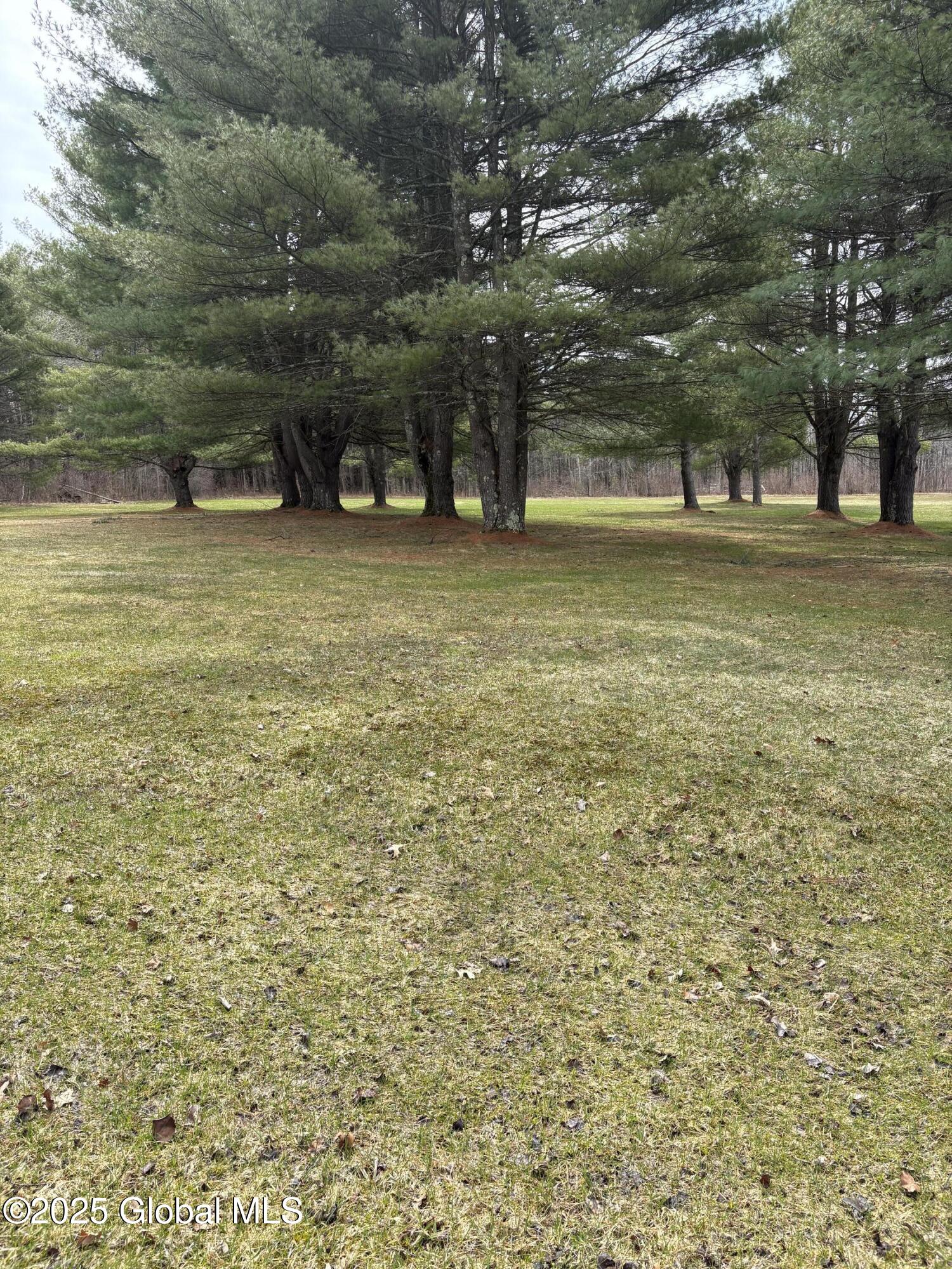 623 Midline Road Perth, NY 12010 - Photo 8 of 63 Murphy-12