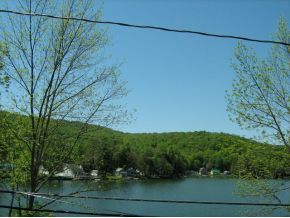 2594 Silver Lake Road Deposit, NY 13754 - Photo 3 of 17 Gallery Image 3