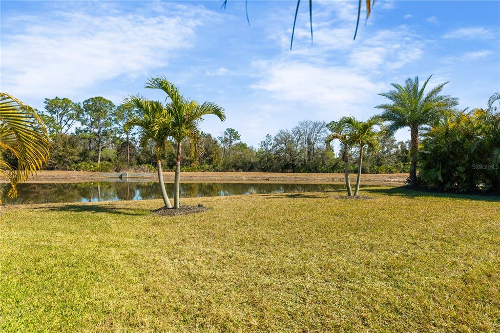 17233 Blue Rdg Place Bradenton, FL 34211 - Photo 49 of 60