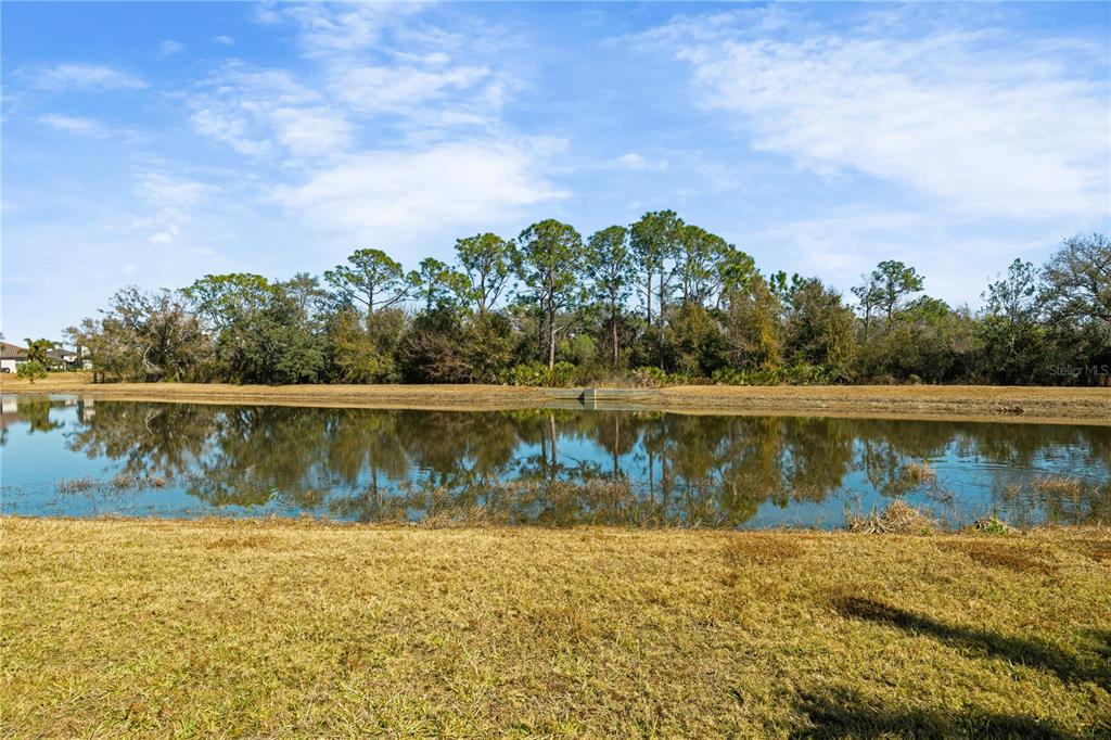 17233 Blue Rdg Place Bradenton, FL 34211 - Photo 50 of 60